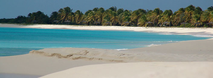 Caribbean palm lined beach