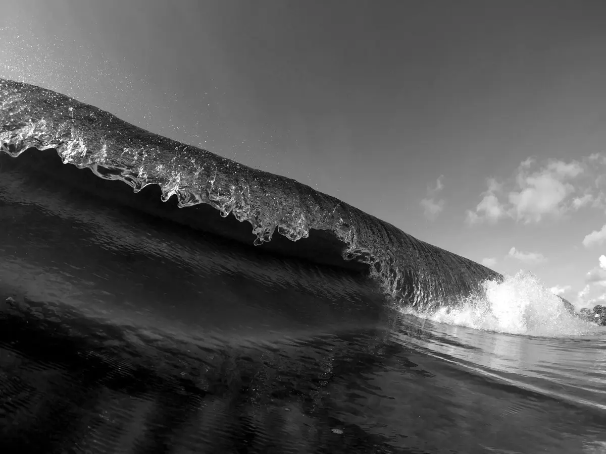 A wave curling over shallow water, in black and white