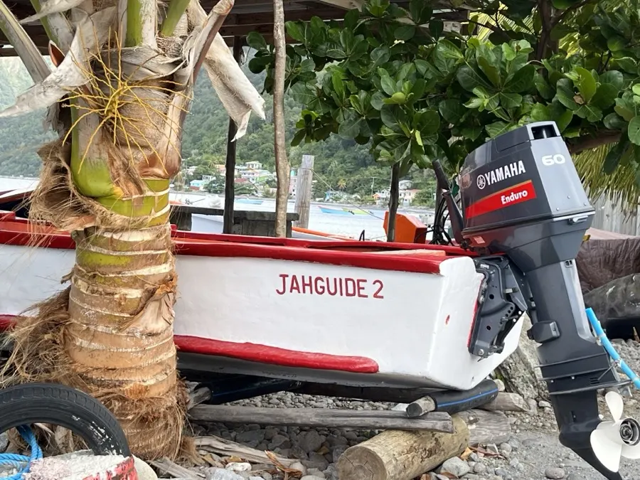 A small boat with an outboard motor pulled up under a palm