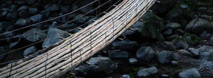 Caribbean bamboo swing bridge