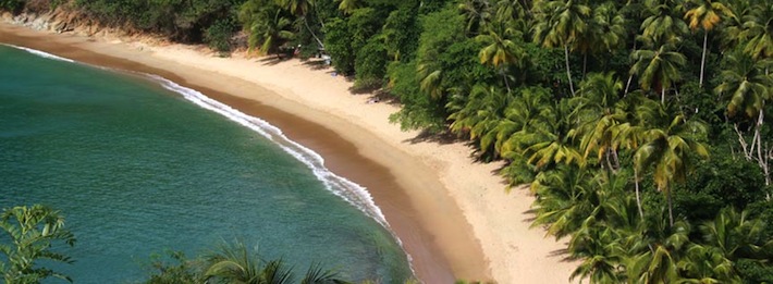 Jungle Caribbean Beach