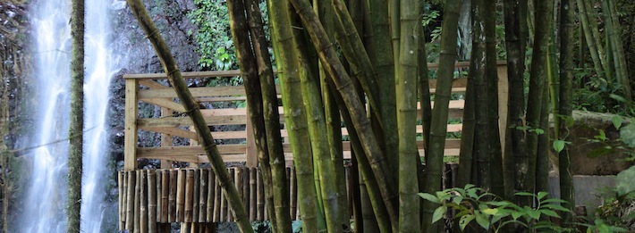 Bamboo and waterfall