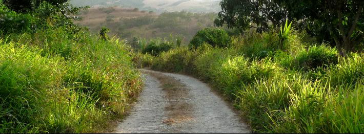 Caribbean Country road