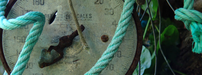 Caribbean Style fishermans scales
